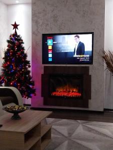 una sala de estar con un árbol de Navidad y una chimenea en Dominic House, en Turda