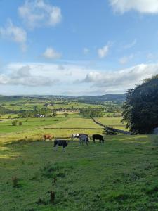 Loodusmaastik puhkemaja lähedal