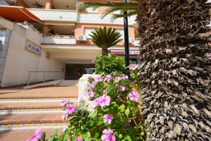 eine Gruppe von Blumen vor einem Gebäude in der Unterkunft Apartamento PARADISE Solo Familias in Gandía