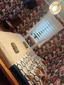 Foto dalla galleria di Zielony Domek nad Biebrzą a Zabiele