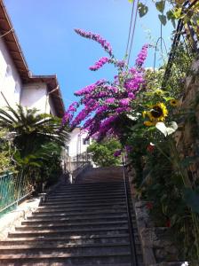 a set of stairs with purple flowers on them at Home Caviglia CITRA 09029-LT-0618 in Finale Ligure