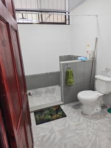 a bathroom with a toilet and a shower at Pequeña Casita Karina in Nicoya