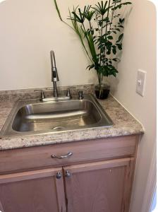 a stainless steel sink with a potted plant on a counter at Cozy private room in Princeton