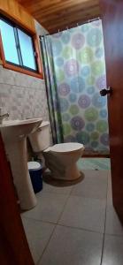 a bathroom with a toilet and a shower curtain at Cabañas francisca in Valdivia