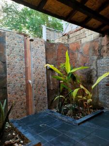 Κήπος έξω από το Ardi Beltza Villa +25 φωτογραφίες