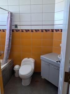 ein kleines Badezimmer mit Toilette und Waschbecken in der Unterkunft san andres, titikaka in Puno