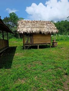 Κήπος έξω από το 1-Ter-Connexion