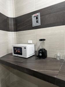 um micro-ondas sentado num balcão ao lado de um liquidificador em The CaSa em Saltillo