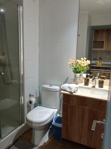 a bathroom with a toilet and a sink and a shower at Departamento para Dos in Temuco +8 photos