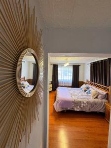 蓬塔阿雷纳斯Casa Patagonica的卧室里有一张床，墙上有一面镜子