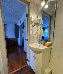 蓬塔阿雷纳斯Casa Patagonica的浴室里有洗手池和镜子 更多12张照片