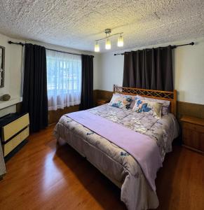 蓬塔阿雷纳斯Casa Patagonica的一间卧室，里面有一张床和一扇窗户。