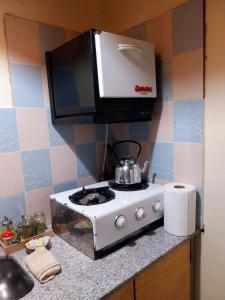 a small kitchen with a stove and a microwave at La casa de las flores in Las Heras
