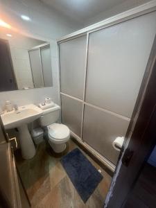 a bathroom with a toilet and a sink and a shower at Sky Aloja Hotel - Frente al Mall de Osorno in Osorno