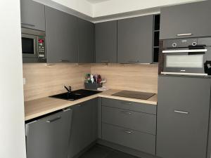 a kitchen with gray cabinets and a sink and a microwave at Gourette: Appartement 6 pers, 2 pièces, Animaux admis - FR-1-860-30 in Gourette