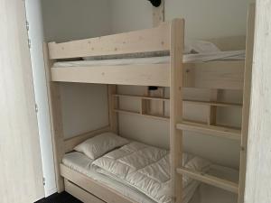 a bunk bed in a small room with a bunk bed in a closet at Studio 6 pers à Gourette avec terrasse - FR-1-860-19 in Gourette