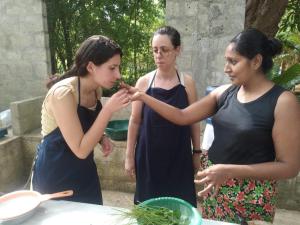 Επισκέπτες που μένουν στο Sleeping Elephant Eco +9 φωτογραφίες