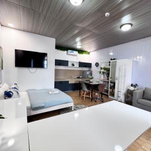 TV a/nebo společenská místnost v ubytování Malaybalay Air’bnb Travellers Inn