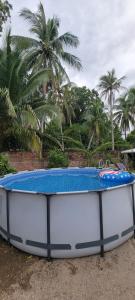 a blue and white surfboard sitting on the ground at Kinta Mae Foster in Marcelino