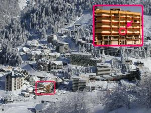 ariale Aussicht auf ein Skigebiet im Schnee in der Unterkunft Studio confort à Gourette pour 4 pers, animaux admis - FR-1-859-15 in Gourette + 2 Fotos