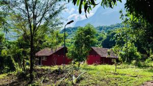 Příroda nedaleko farmy