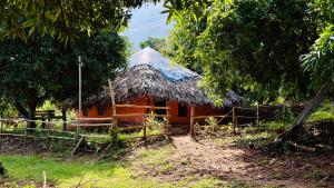 Zahrada ubytování Jungle Farm House