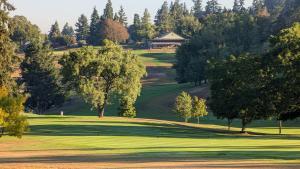 Tiện nghi golf gần/tại căn hộ +3 ảnh