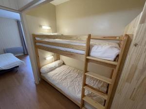 勒利然Spacieux T2 avec balcon près des pistes au Lioran - FR-1-787-134的房间里有几张双层床