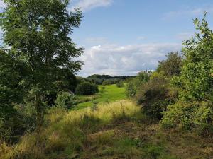 a view of a field with trees and grass at Renovated Beach House - By Traum Ferienwohnungen in Juelsminde