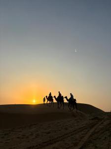Hosté ubytování Hotel Neem Haveli