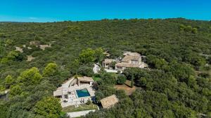 an aerial view of a house in the forest at Stunning Stone House With Pool Near Gordes in Gordes