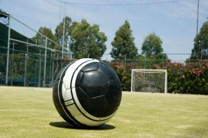 a large black and white soccer ball on a field at Holiday Village in Fondi