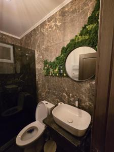 a bathroom with a toilet and a sink and a mirror at Bârlogul balaurului in Afumaţi +17 photos