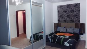 Schlafzimmer mit einem Bett und einem Spiegel in der Unterkunft Central Park Apartment in Dnipro