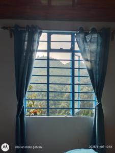 een raam met blauwe gordijnen en uitzicht op een veld bij Mountain Paradise Homestay BATASIA LOOP in Darjeeling
