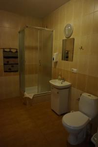 a bathroom with a shower and a toilet and a sink at Ośrodek Wypoczynkowy Sowa in Lipniak