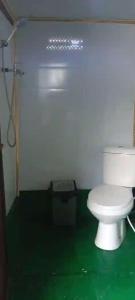 a bathroom with a white toilet in a green floor at Orangutan Borneo Tour Tanjung Puting in Pangkalan Bun