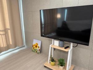 TV a/nebo společenská místnost v ubytování Indeogwon stay 27