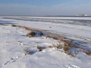 Příroda nedaleko prázdninového domu