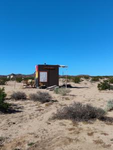 a small shack in the middle of the desert at Arlo's AFrame in Joshua Tree