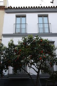an orange tree in front of a white building at Ritual Sevilla Suites - Malaver 23 in Seville