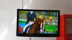a television with a picture of a horse on it at VV Paraíso Del Sur in Playa Paraiso