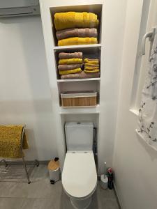 a bathroom with a white toilet and some towels at Gîte cosy avec jardin in Nyons +27 photos
