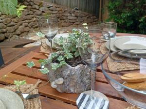a table with wine glasses and a potted plant on it at Ferntree Hollow - private, peaceful, walk to town in Maleny