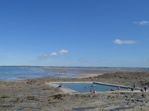 eine Gruppe von Menschen in einem Pool mit Wasser am Strand in der Unterkunft Beech Lodge in Buckland Brewer