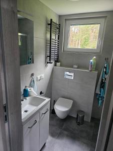 a bathroom with a toilet and a sink and a window at Leśny Zakątek Świączyń 