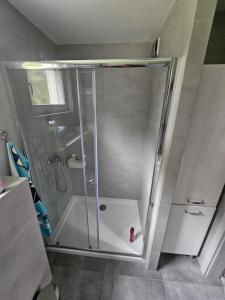 a shower with a glass door in a bathroom at Leśny Zakątek Świączyń 