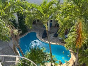 an overhead view of a swimming pool with palm trees at Blue angel 24 in Playa del Carmen