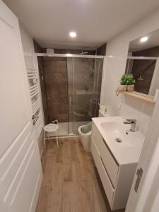 Koupelna v ubytování L'Alsace d'ANTAN + 24 fotografií