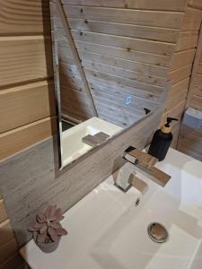 a bathroom with a sink and a mirror at Escape Remeti - Aframe by the River in Remeţi +20 photos